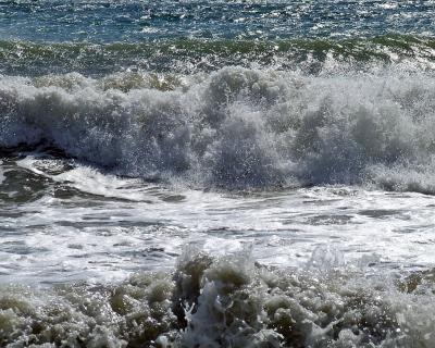 Прикрепленное изображение: DSCF7818.jpg